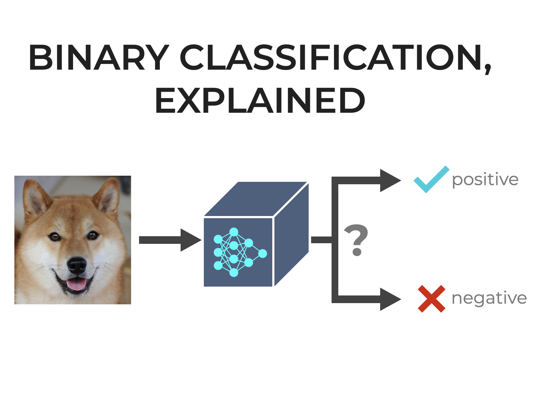 BinaryClassification